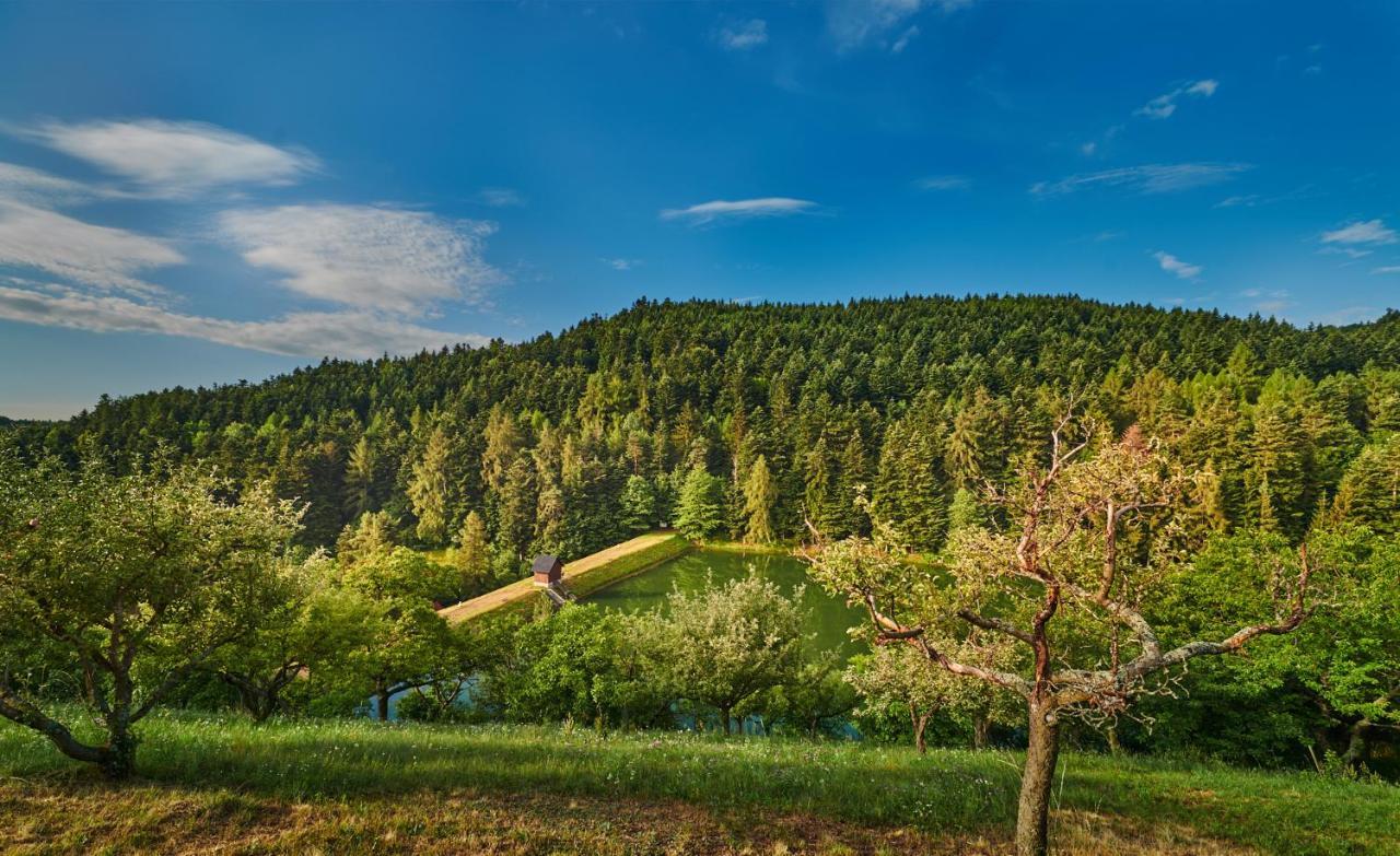Pensjonat Sad Nad Klingerom Banská Štiavnica Zewnętrze zdjęcie